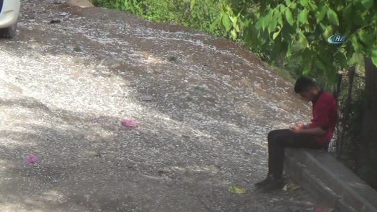 Beytüşşebap'ta polenler eve hapsetti