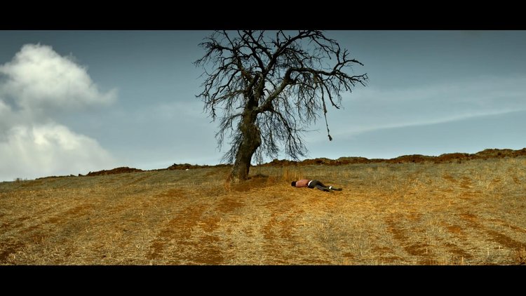 Ahlat Ağacı - Fragman