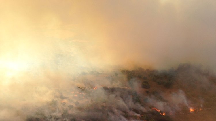 Çanakkale yanıyor!