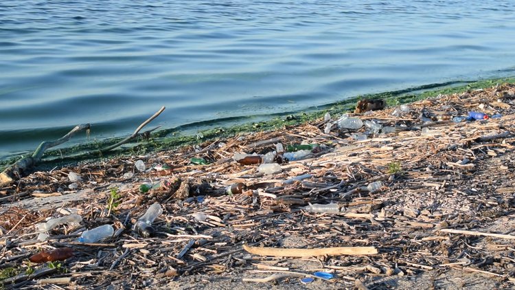 Türkiye'nin çevre kirliliği raporu: Nehirler alarm veriyor