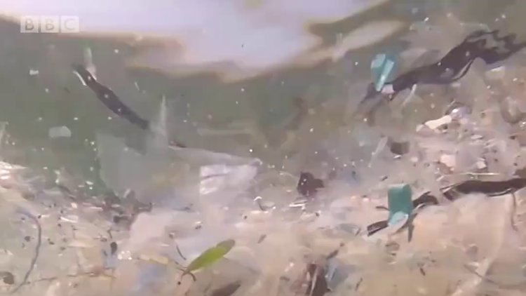 Norveç, plastik çöp sorununu nasıl çözdü?