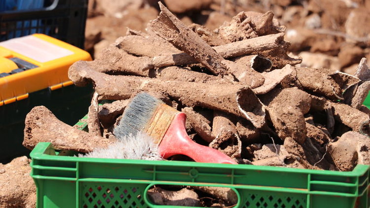 Denizli&#039;de Bizans dönemine ait tarihi mezar bulundu