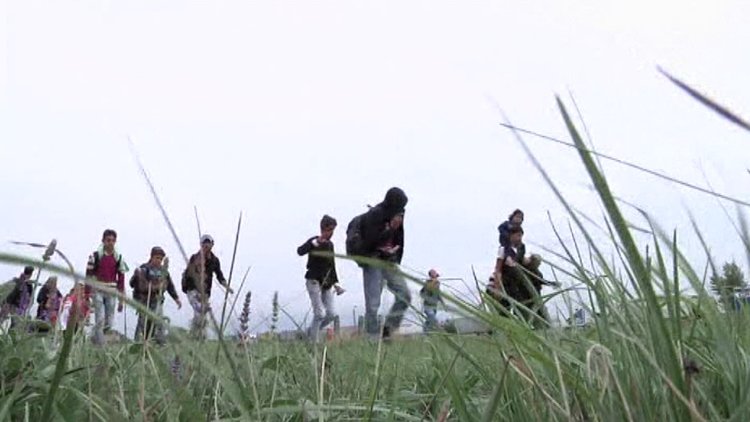 Alman hükümetinde mülteci anlaşmazlığı