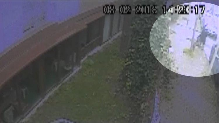 İstanbul'un göbeğindeki pitbull vahşetine dava