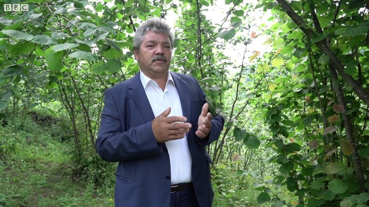 Fındık üreticisi: Kim gelirse gelsin bize çözüm üretsin