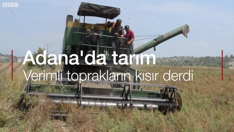 Adana'da çiftçiler: Perişan durumdayız