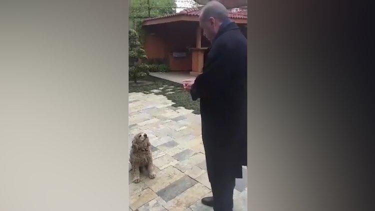 Berat Albayrak'ın 'Erdoğan' paylaşımı