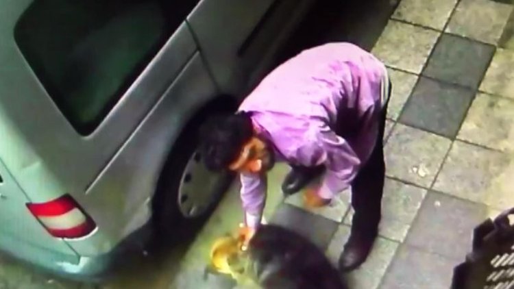 Yine hayvana şiddet! Sokak köpeğini defalarca yumrukladı