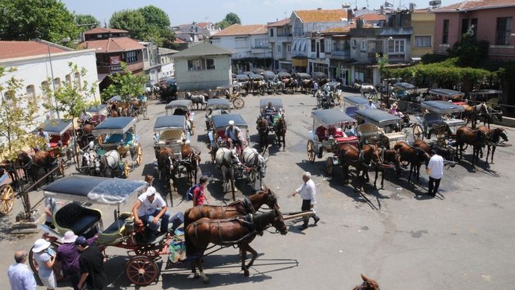 Faytonlar kaldırılacak mı? Büyükada'daki faytoncular yeni düzenleme için ne diyor?