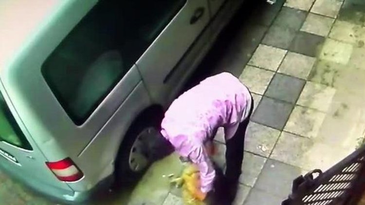 Kadıköy'de köpeğe şiddet kamerada