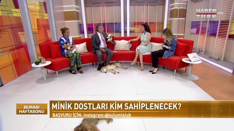 Burası Haftasonu - 23 Haziran 2018 (Hayvan Hakları Federasyonu, HAYTAP Başkanı Av. Ahmet Kemal Şenpolat)