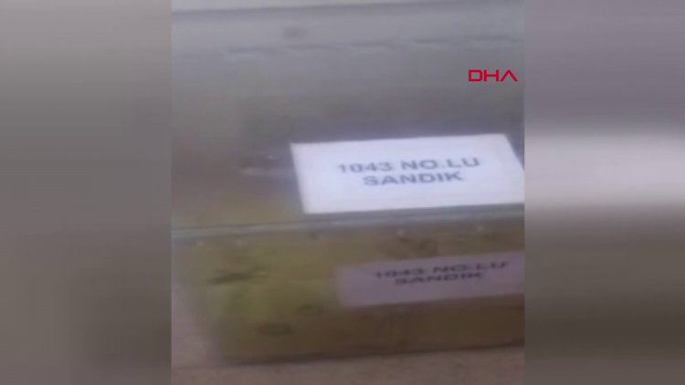 Suruç'ta 'Blok oy' kullanıldığı iddiası