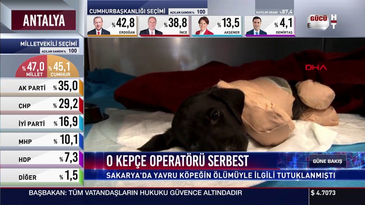 O kepçe operatörü serbest