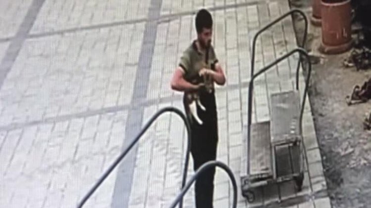 Üsküdar&#039;da kediyi denize atan cani yakalandı