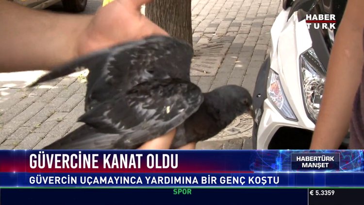 Güvercine kanat oldu