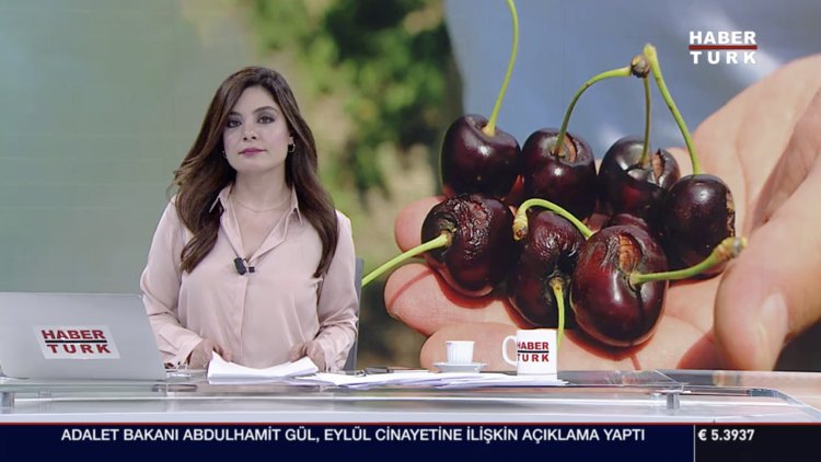 Kirazcılar kan ağlıyor