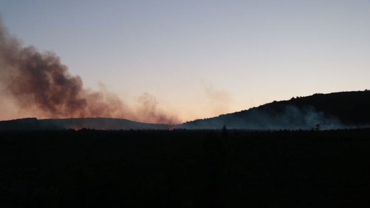 Aydos Ormanı'nda yangın çıktı