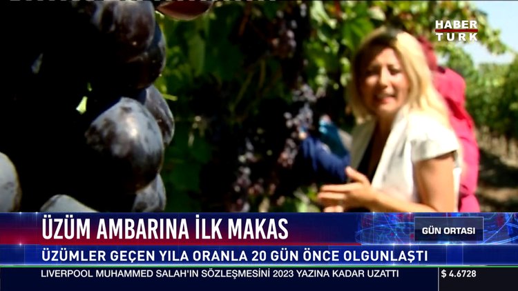 Üzüm ambarına ilk makas