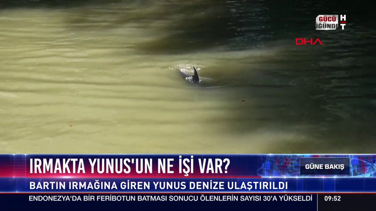 Irmakta Yunus'un ne işi var ?