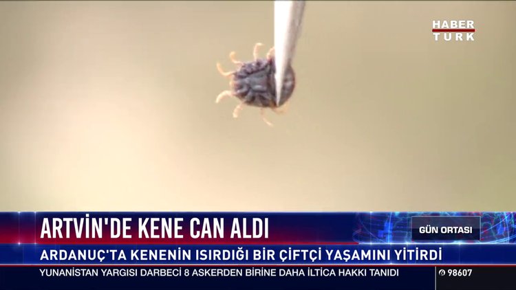Artvin'de kene can aldı