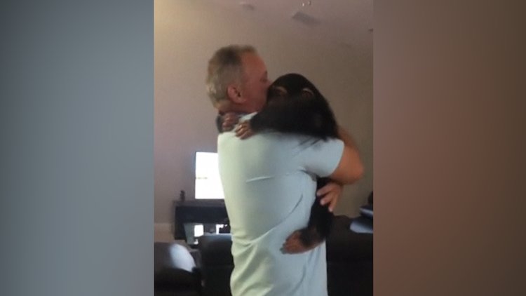 Eski bakıcı ailesini görünce sevinen şempanze