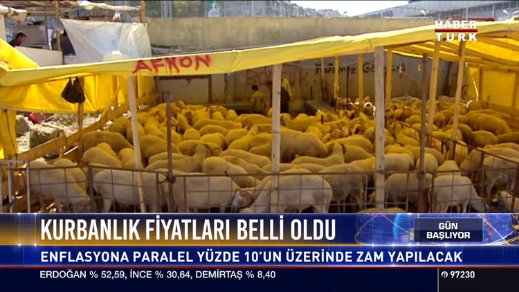 Kurbanlık fiyatları belli oldu