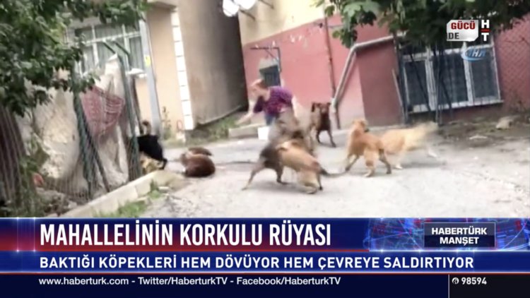 Mahallenin korkulu rüyası