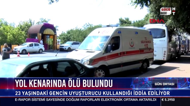 Yol kenarında ölü bulundu