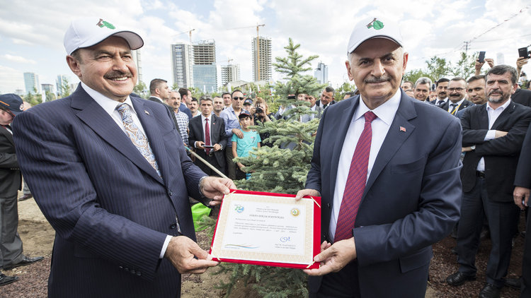 Başbakanlık Hatıra Ormanı açıldı... Yıldırım: Giderayak dikili ağacımız olsun diye buradayız