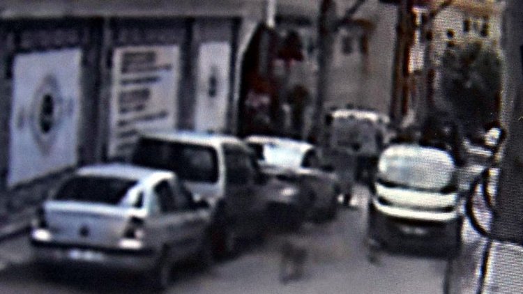 Dedektif gibi iz sürdü, köpeğini ezeni buldu