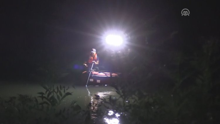 Bartın'da ırmağa giren yunus kurtarma çalışması devam ediyor