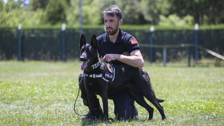Kayıp Eylül'ün cansız bedenini o bulmuştu! İşte emniyetin hassas burunları!