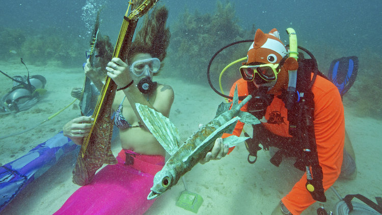 Su altına müzik yayını yaptılar! Nedeni ise...