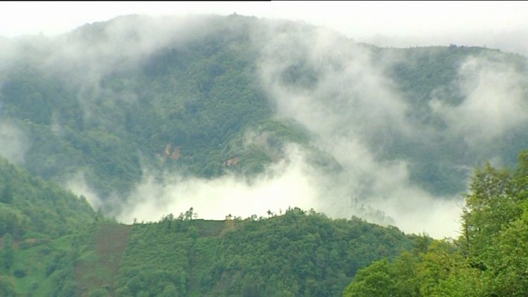 Lezzet Haritası - 15 Eylül 2013 (Rize)