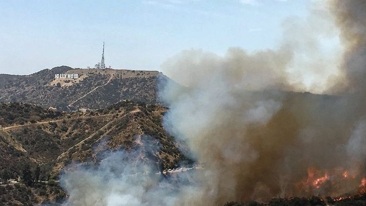 Dünyaca ünlü Griffith Park'ta yangın çıktı