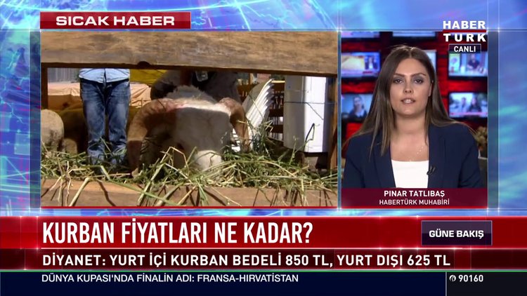 Kurban fiyatları ne kadar?