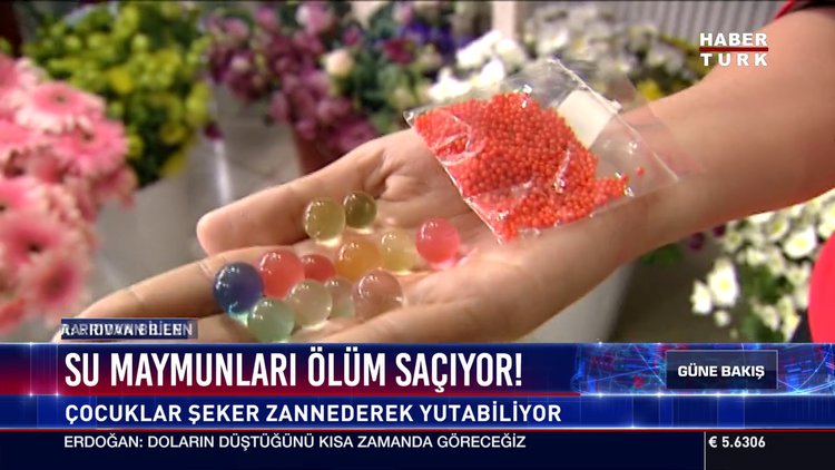 Su maymunları ölüm saçıyor!