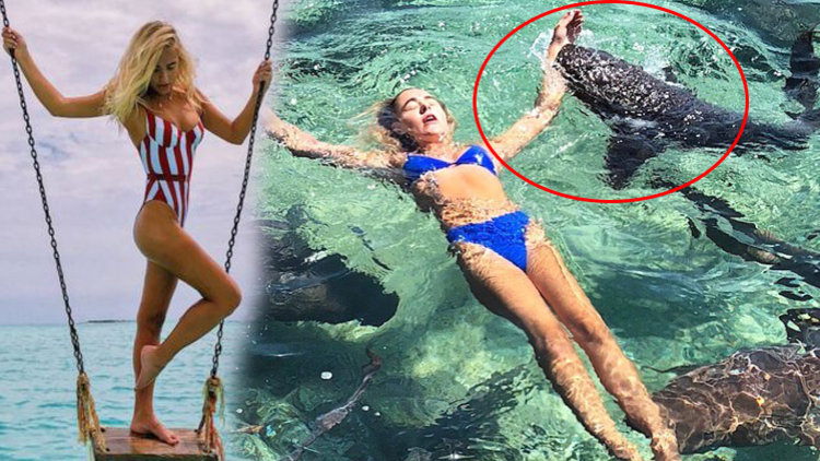 Bu Fotograf Icin Canindan Oluyordu Unlu Model Katarina Zarutskie Kopek Baligi Saldirisina Ugradi Haberturk Tv