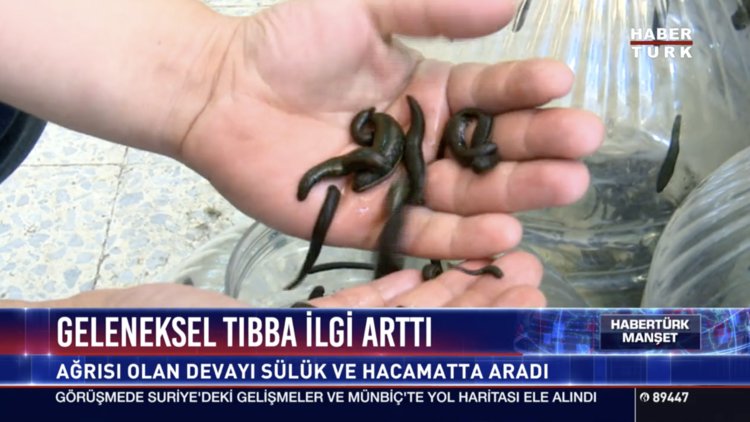 Geleneksel tıbba ilgi arttı