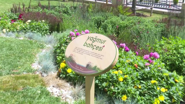 'Yağmur bahçeleri' geliyor! Sel ve taşkınlar azalacak