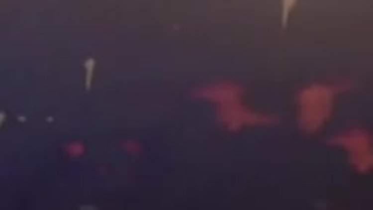 Doktora darp! Hasta yakını başına parke taşıyla vurdu