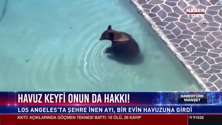 Havuz keyfi onun da hakkı!