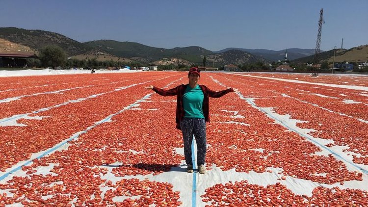 Tobalı Ovası kırmızıya büründü!