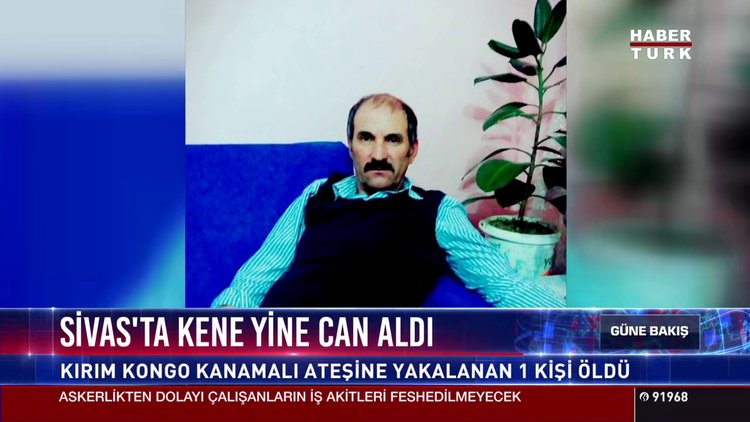 Sivas'ta kene yine can aldı