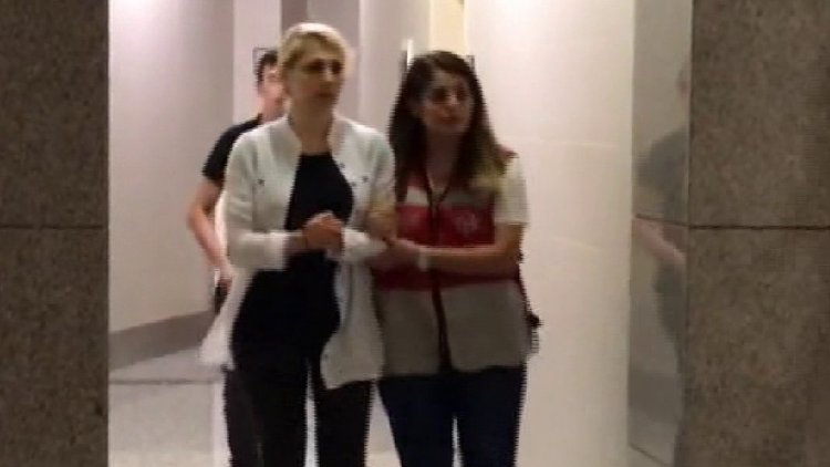 Kedicikler adliye koridorlarında görüntülendi