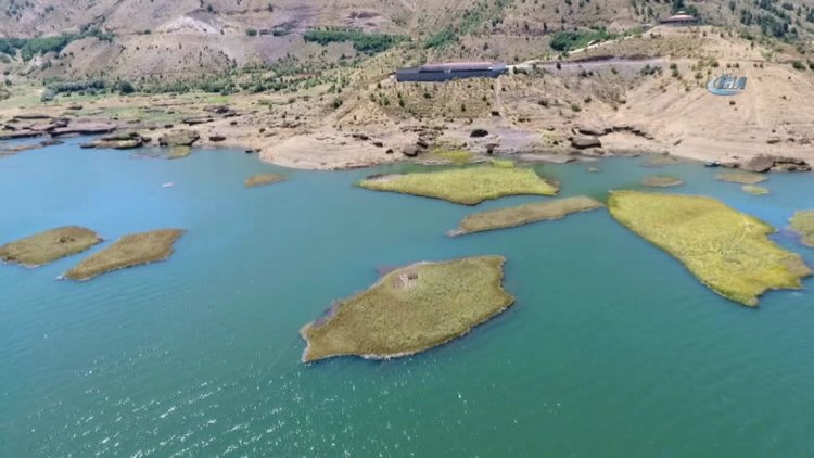 Bu adalar yerinde durmuyor