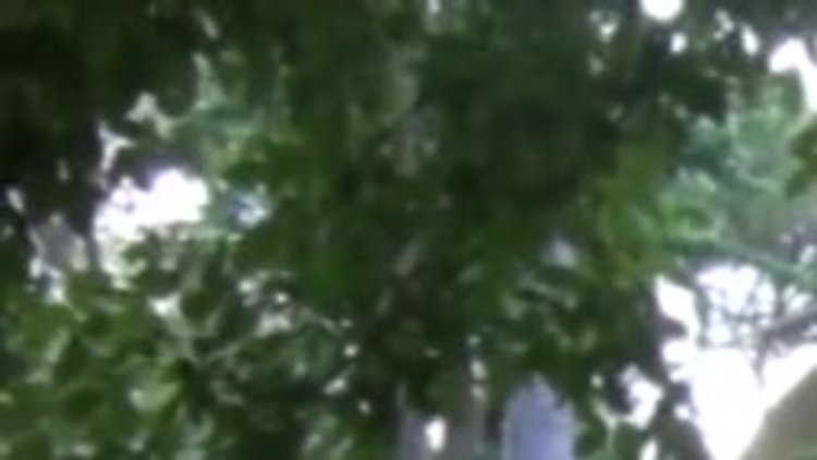 Boyatmak istediği saçları elinde kaldı!