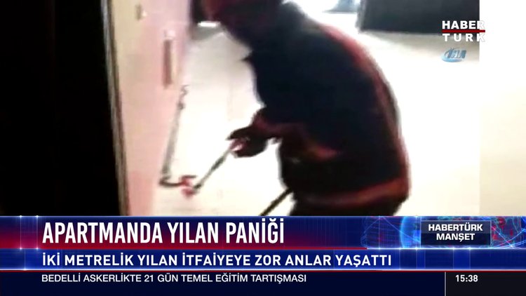 Apartmanda yılan paniği