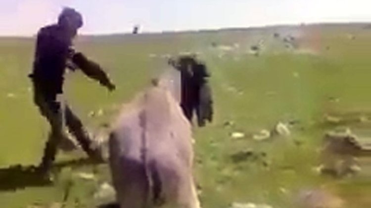 Eşeklere sopayla işkence etmişti! O çobanın cezası belli oldu