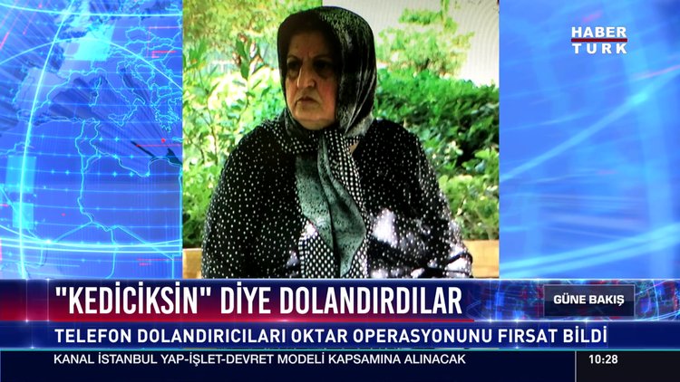"Kediciksin" diye dolandırdılar